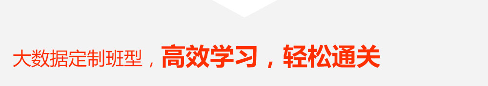 大数据定制班型、高效学习、轻松通关