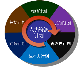 公司战略与风险管理知识点