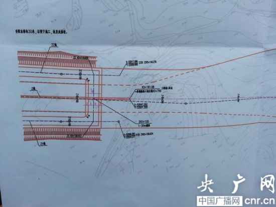 江西村民过千棵樟树因征地被砍资产评估一棵树50元