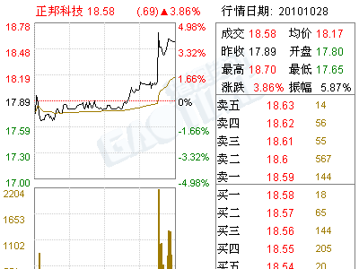 正邦科技(002157)拟投资项目资产评估报告书摘要(图)