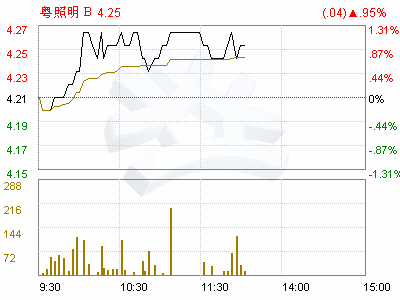 佛山照明(000541)项目资产评估报告书(摘要)(图)