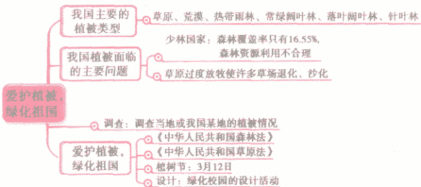 保护森林资源的措施、写世界森林日的作文：保护森林的措施