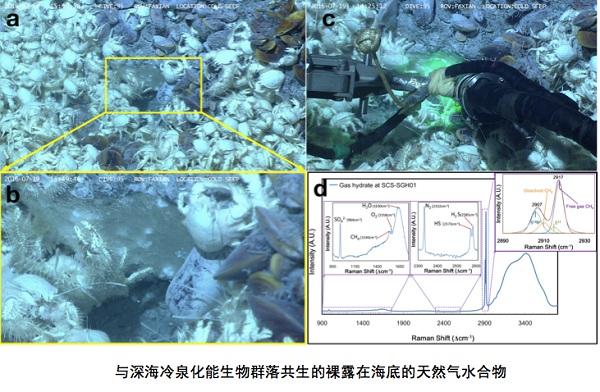 中国科学家首次在南海发现裸露“可燃冰”