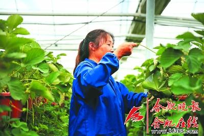 ○分水岭上龙门寺农业开发区一景