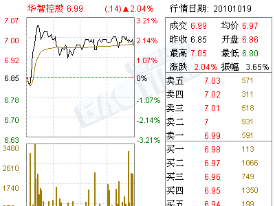 华智控股(000607)资产评估报告书(图)