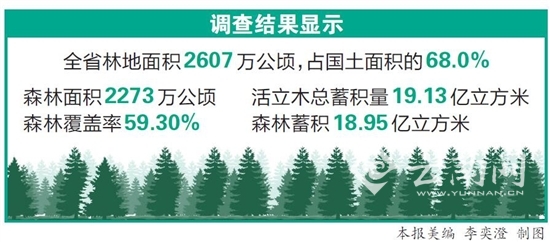 第四次森林资源调查主要数据发布 云南森林资源数量增加质量提高